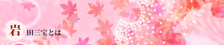 岩田三宝とは